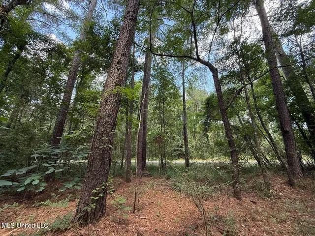 $24,500 | 1.72-acres Crosby Road, Seminary, MS 39479