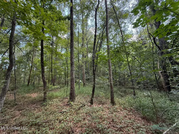 $24,500 | 1.72-acres Crosby Road, Seminary, MS 39479