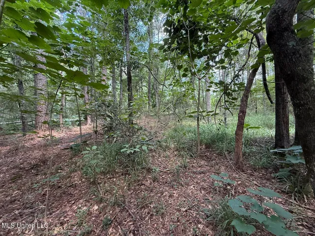 $24,500 | 1.72-acres Crosby Road, Seminary, MS 39479