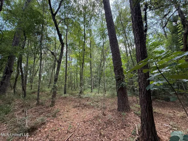 $24,500 | 1.72-acres Crosby Road, Seminary, MS 39479