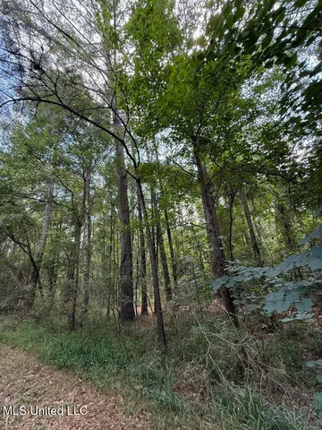 $24,500 | 1.72-acres Crosby Road, Seminary, MS 39479