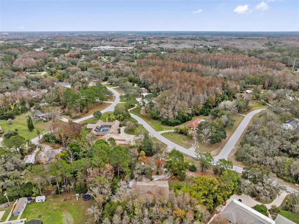 1237 Littlefield Drive New Port Richey, FL 34655 - Photo 58 of 70 Gallery Image 58