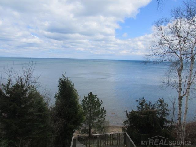 8370 South Lake Shore Road Harbor Beach, MI 48441 - Photo 4 of 21 50009183-3.JPG