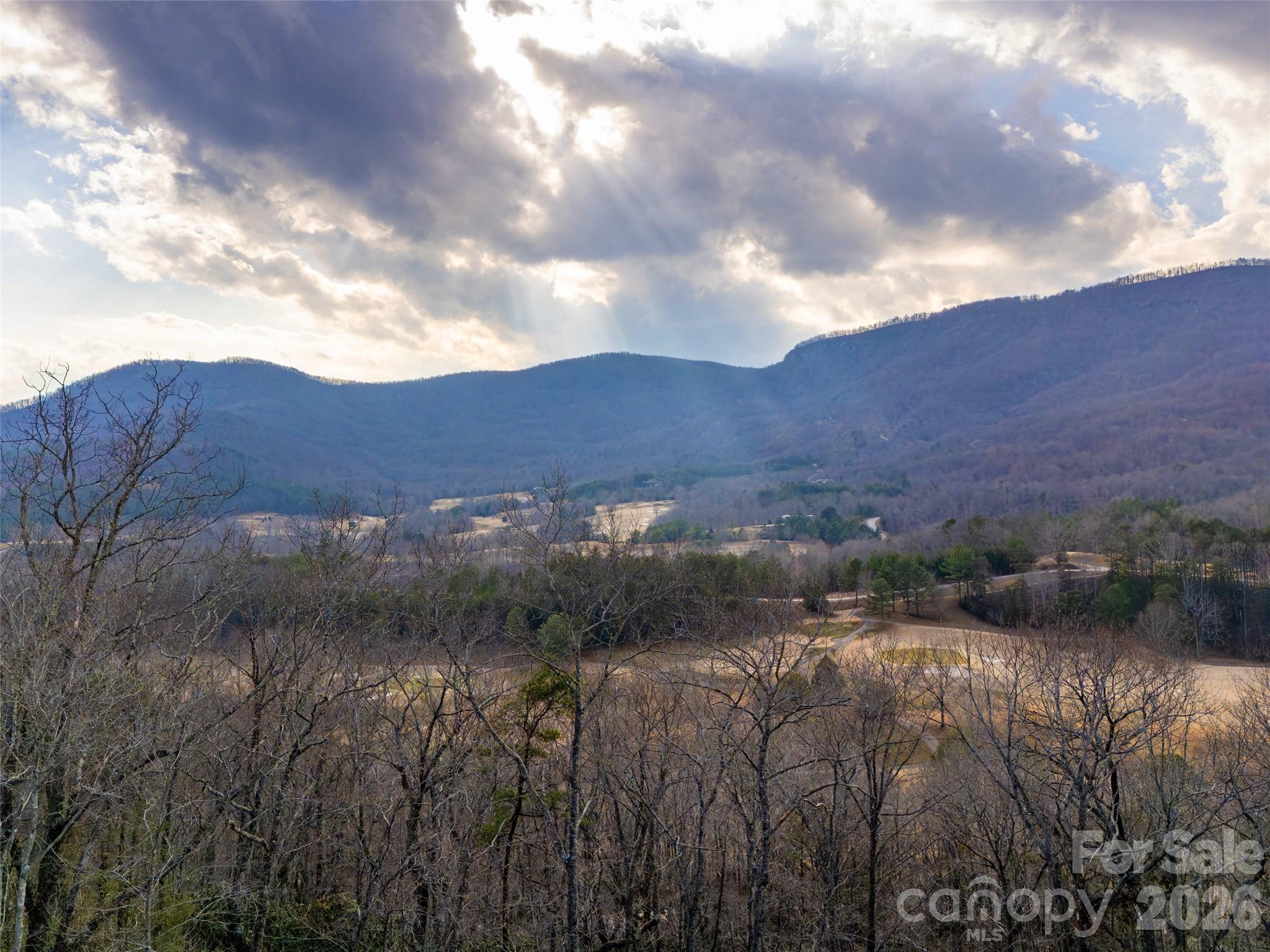 788 Deep Gap Farm Road East Mill Spring, NC 28756 - Photo 12 of 48