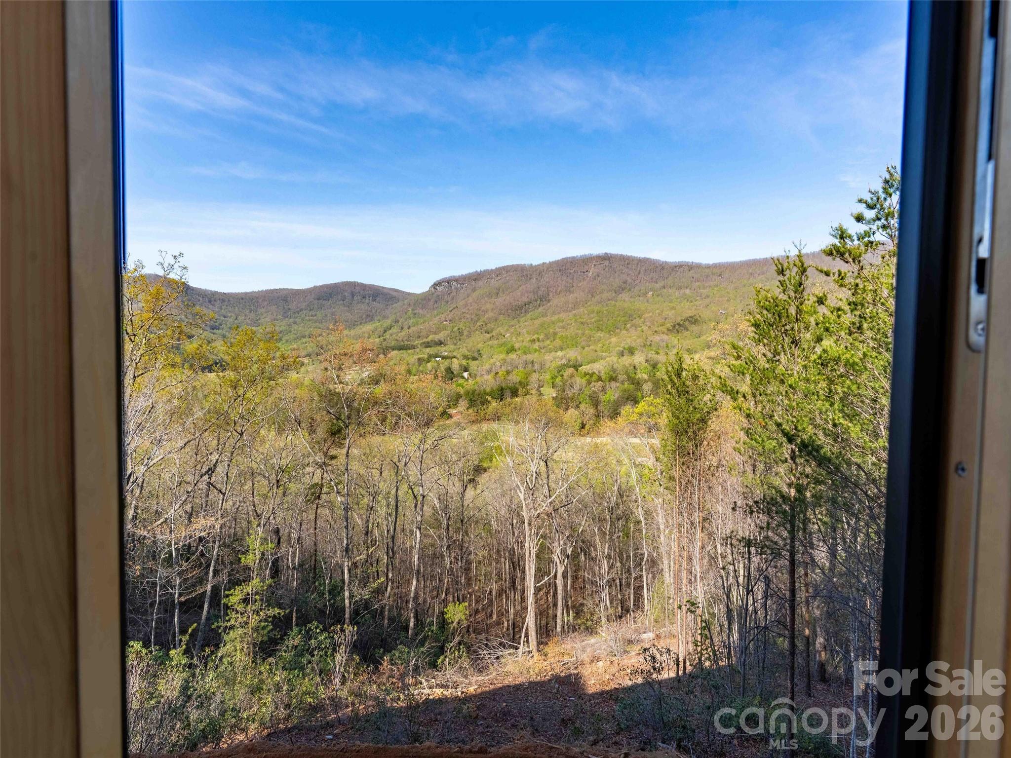 788 Deep Gap Farm Road East Mill Spring, NC 28756 - Photo 34 of 48