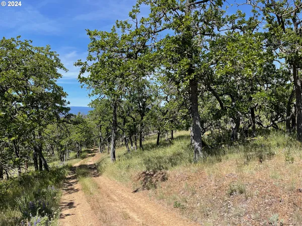$54,500 | 30 Columbia Hills Lane, Goldendale, WA 98620