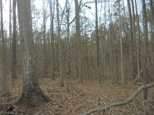 7108 Company Mill Road Climax, NC 27233 - Photo 19 of 29 Gallery Image 19
