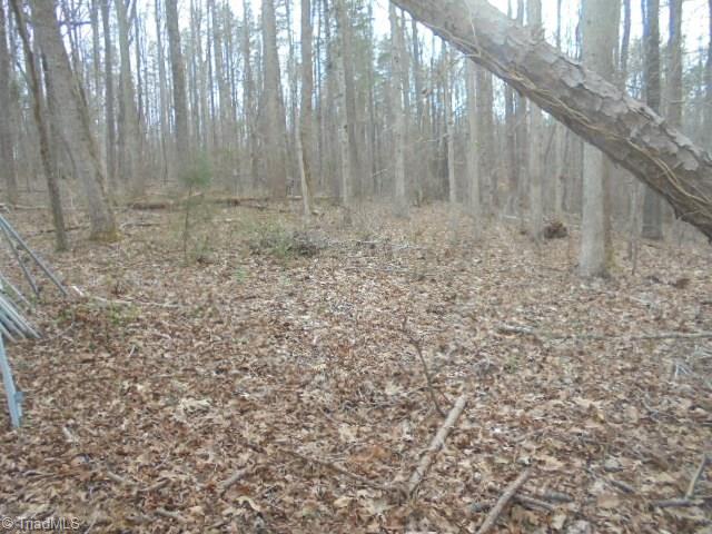 7108 Company Mill Road Climax, NC 27233 - Photo 20 of 29 Gallery Image 20