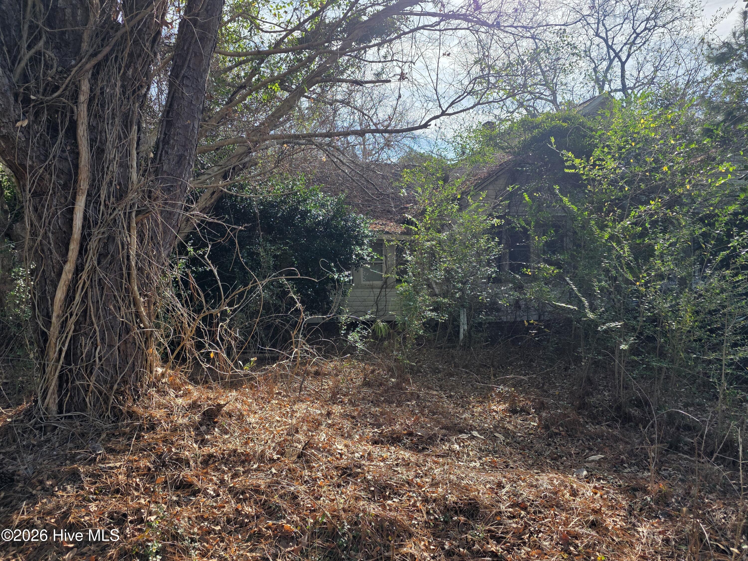 1081 Red Bug Road Hallsboro, NC 28442 - Photo 8 of 8 20260112_103633