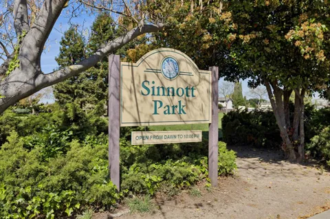 a view of a park with large trees