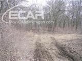 0 Almont Road Capac, MI 48014 - Photo 8 of 10 20429780-7.JPG