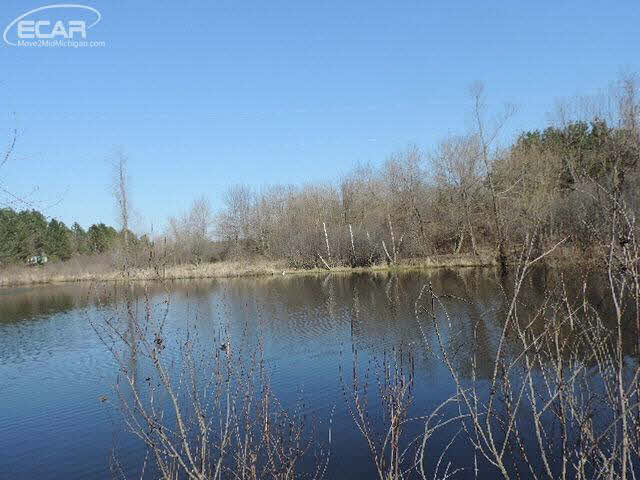 6441 Washburn Road Goodrich, MI 48438 - Photo 4 of 5