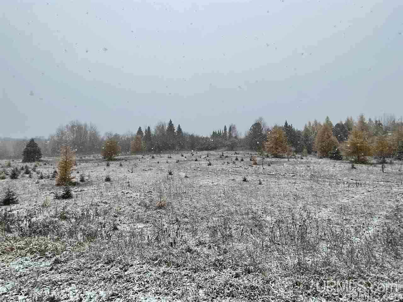Tbd North Kendall Road Manistique, MI 49854 - Photo 2 of 17 Gallery Image 2