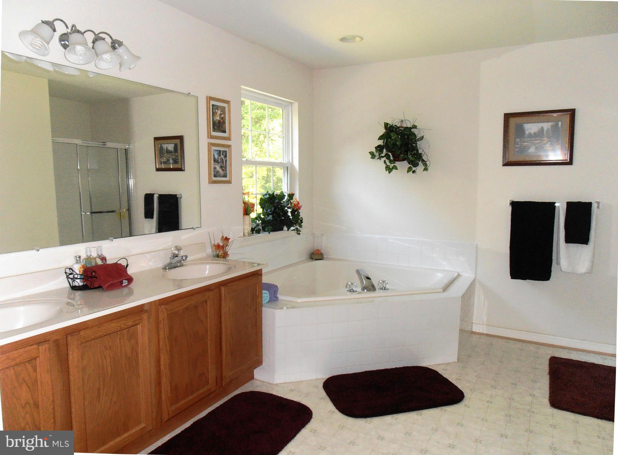2121 Albert Rill Road Hampstead, MD 21074 - Photo 15 of 30 Bath (Master)