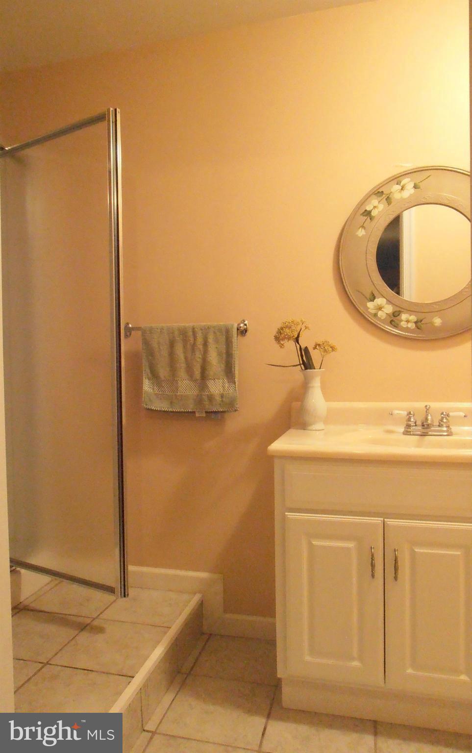 2121 Albert Rill Road Hampstead, MD 21074 - Photo 27 of 30 Bath