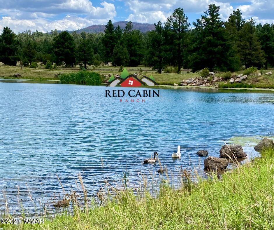 Tbd Tbd Red Cabin Ranch Vernon, AZ 85940 - Photo 12 of 17