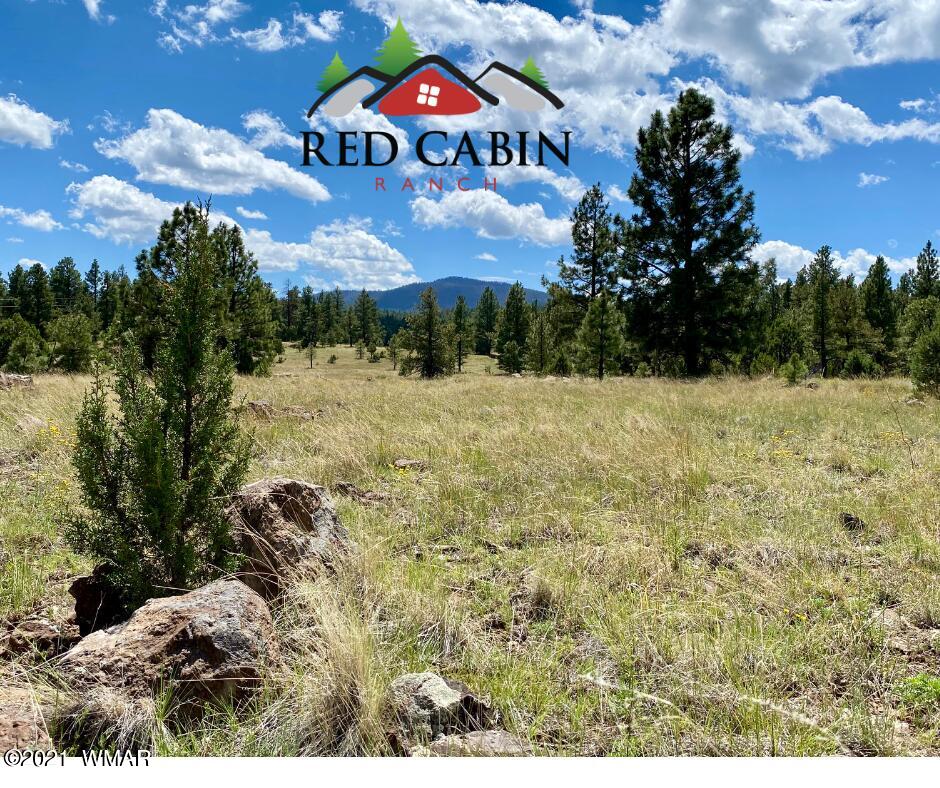 Tbd Tbd Red Cabin Ranch Vernon, AZ 85940 - Photo 14 of 17