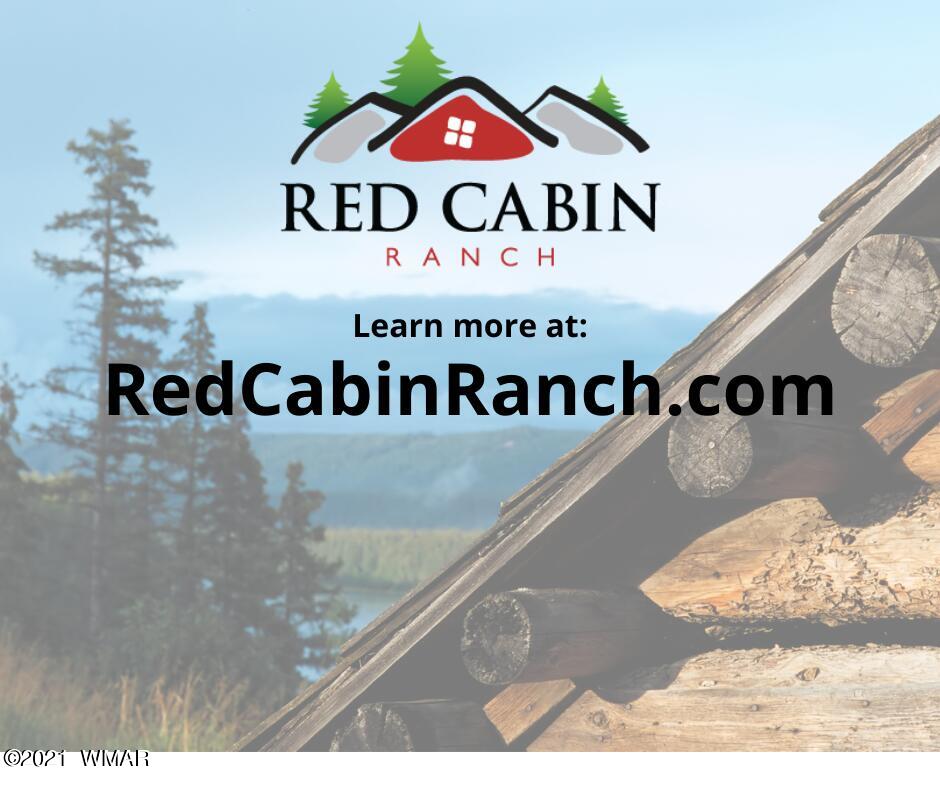 Tbd Tbd Red Cabin Ranch Vernon, AZ 85940 - Photo 17 of 17