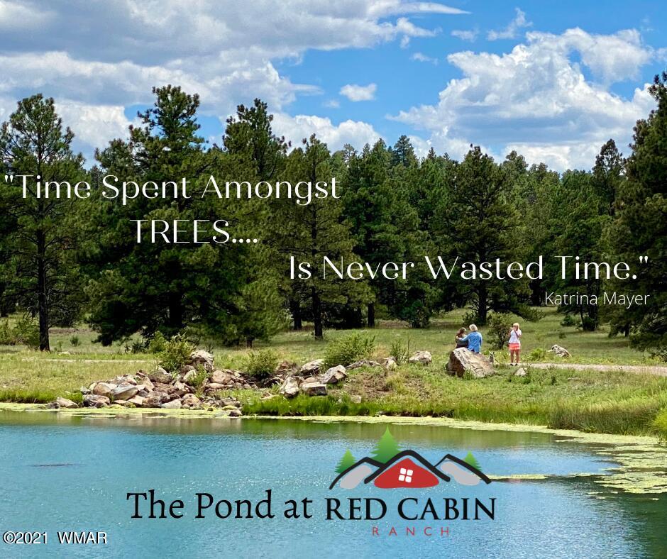 Tbd Tbd Red Cabin Ranch Vernon, AZ 85940 - Photo 2 of 17