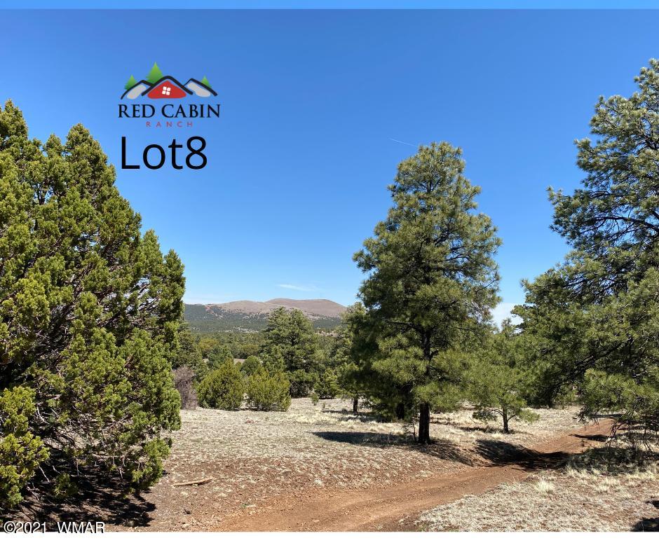 Tbd Tbd Red Cabin Ranch Vernon, AZ 85940 - Photo 4 of 17