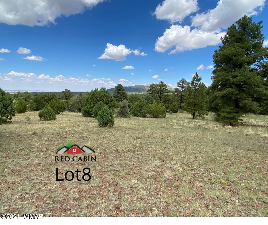 Tbd Tbd Red Cabin Ranch Vernon, AZ 85940 - Photo 5 of 17
