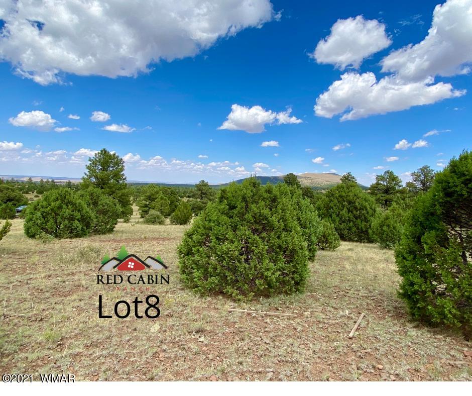 Tbd Tbd Red Cabin Ranch Vernon, AZ 85940 - Photo 6 of 17