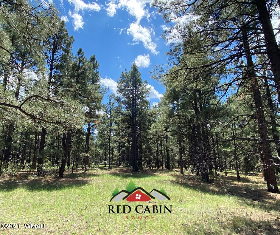 Tbd Tbd Red Cabin Ranch Vernon, AZ 85940 - Photo 8 of 17