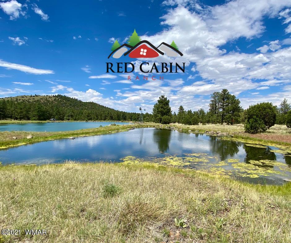 Tbd Tbd Red Cabin Ranch Vernon, AZ 85940 - Photo 10 of 17