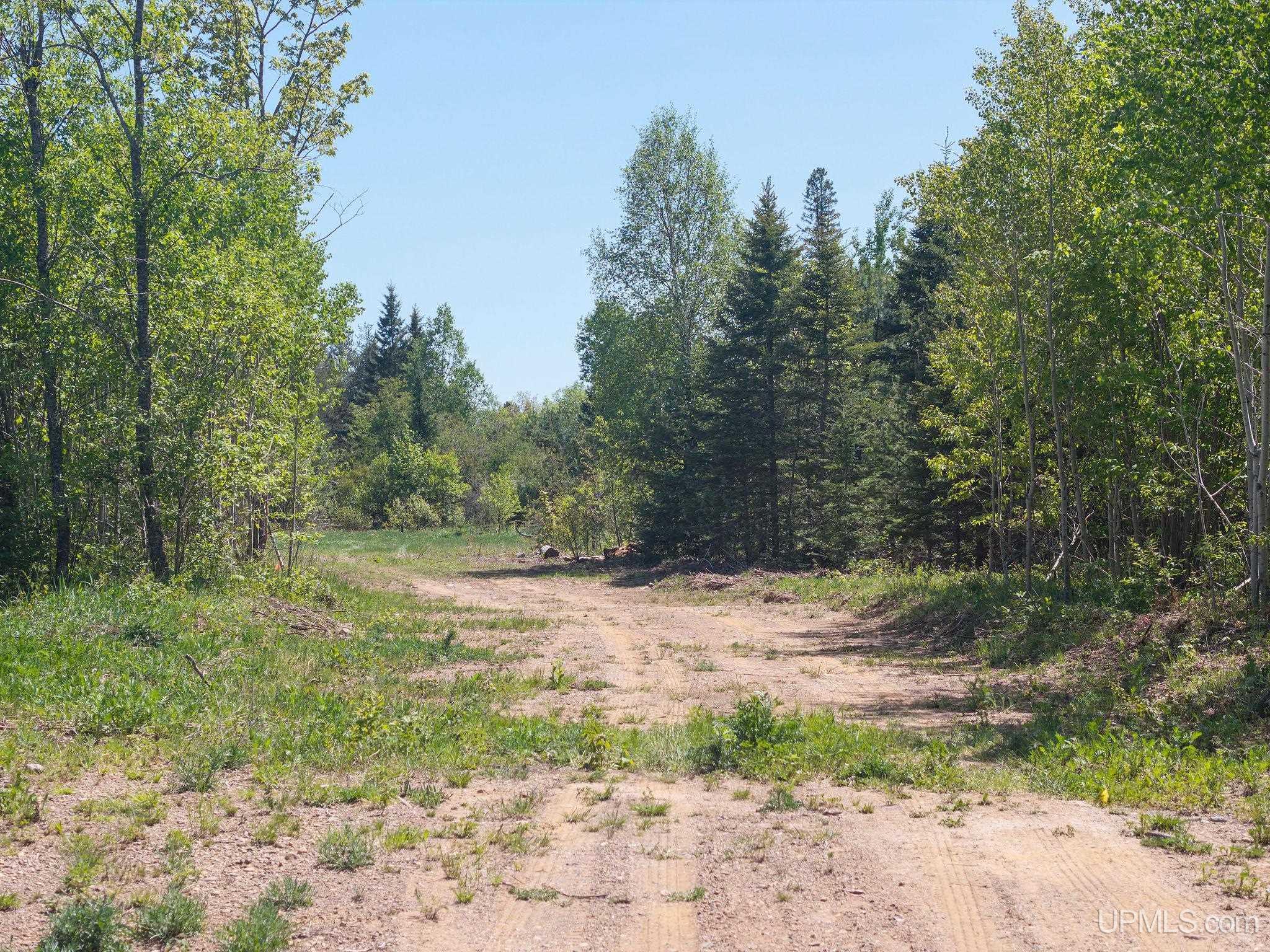 784 Legion Drive Ishpeming, MI 49849 - Photo 23 of 23