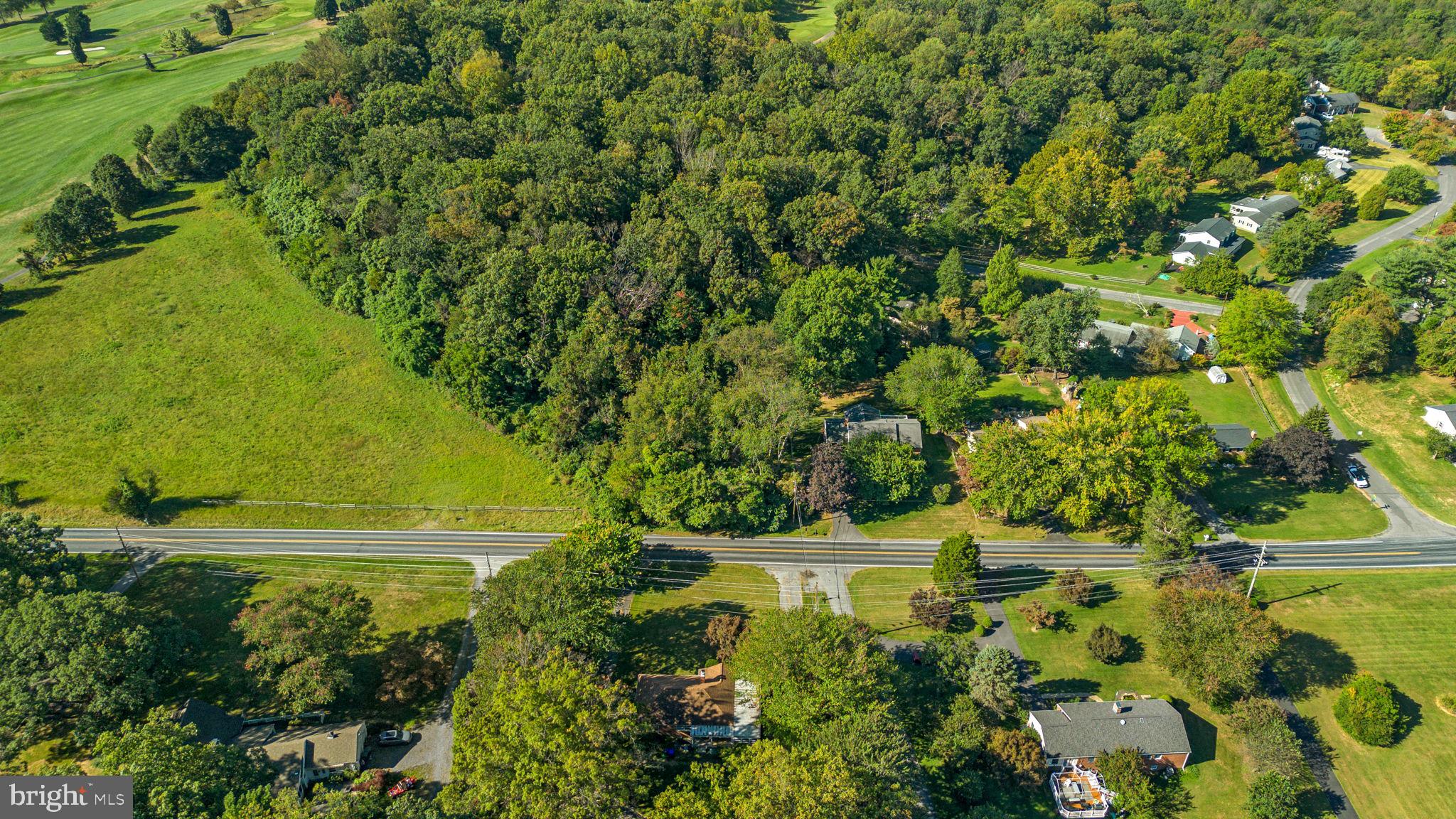 14208 Lewisdale Road Clarksburg, MD 20871 - Photo 13 of 15 a view of a garden with a tree