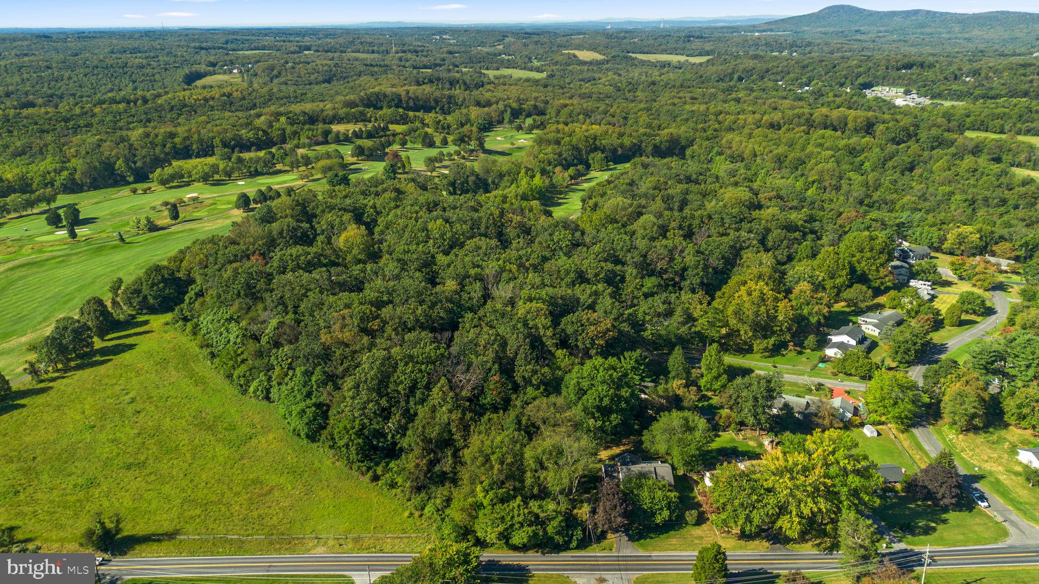 14208 Lewisdale Road Clarksburg, MD 20871 - Photo 14 of 15 a view of a lush green field with lots of bushes