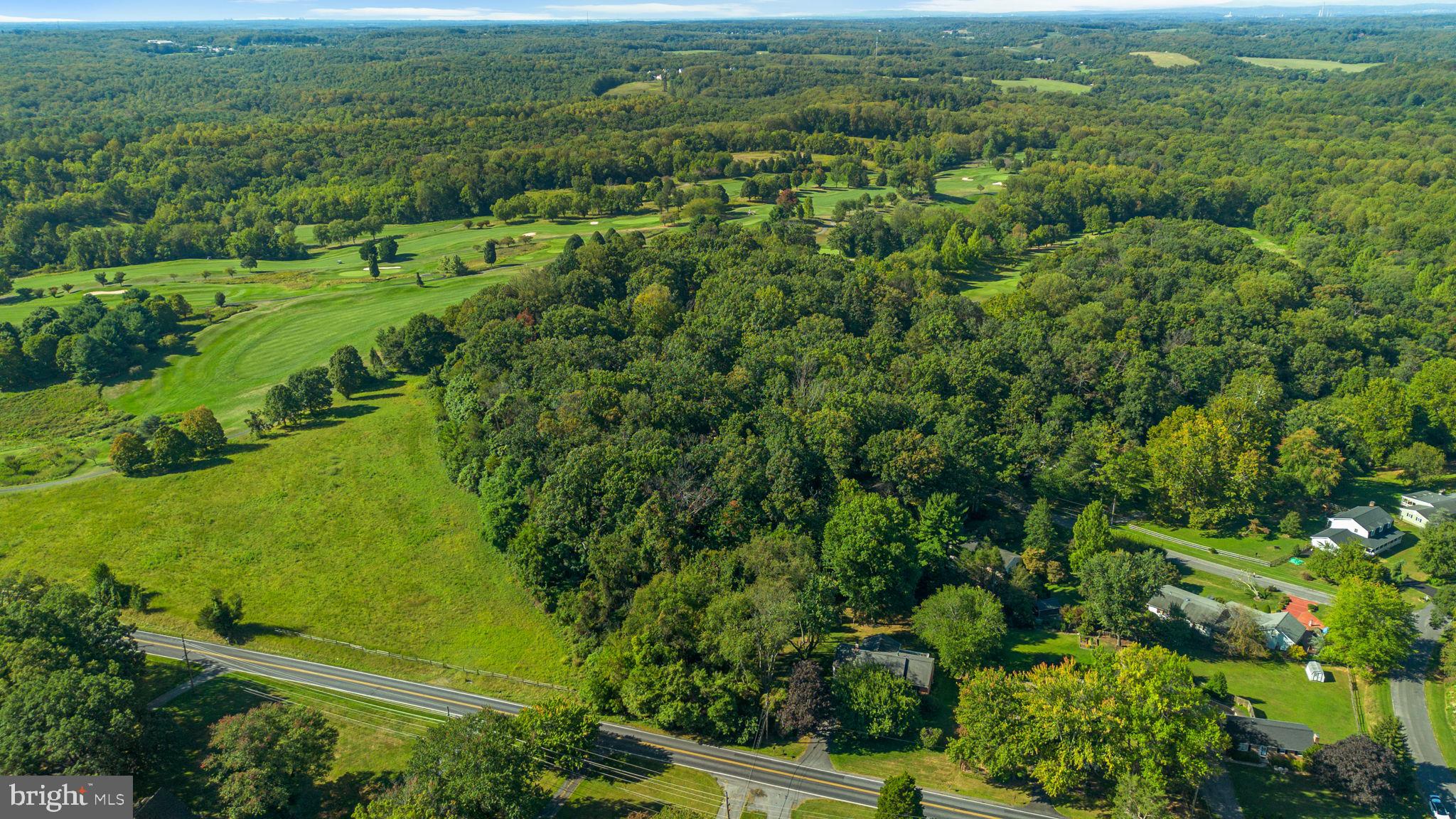 14208 Lewisdale Road Clarksburg, MD 20871 - Photo 15 of 15 a view of a green field with lots of bushes