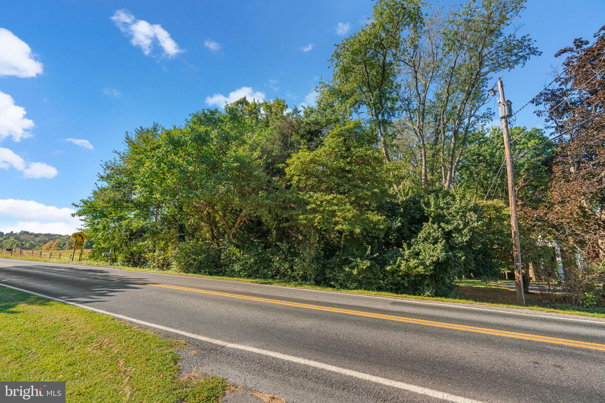 14208 Lewisdale Road Clarksburg, MD 20871 - Photo 3 of 15 a view of a yard