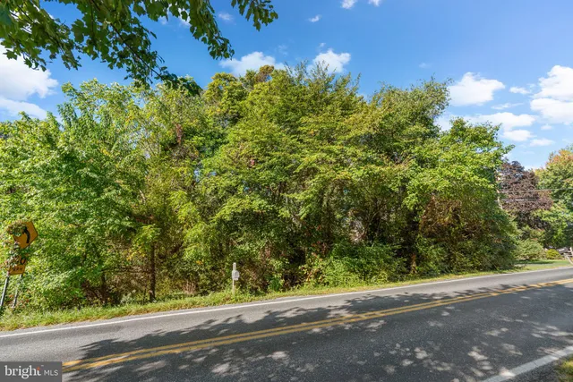 a view of a street with a tree