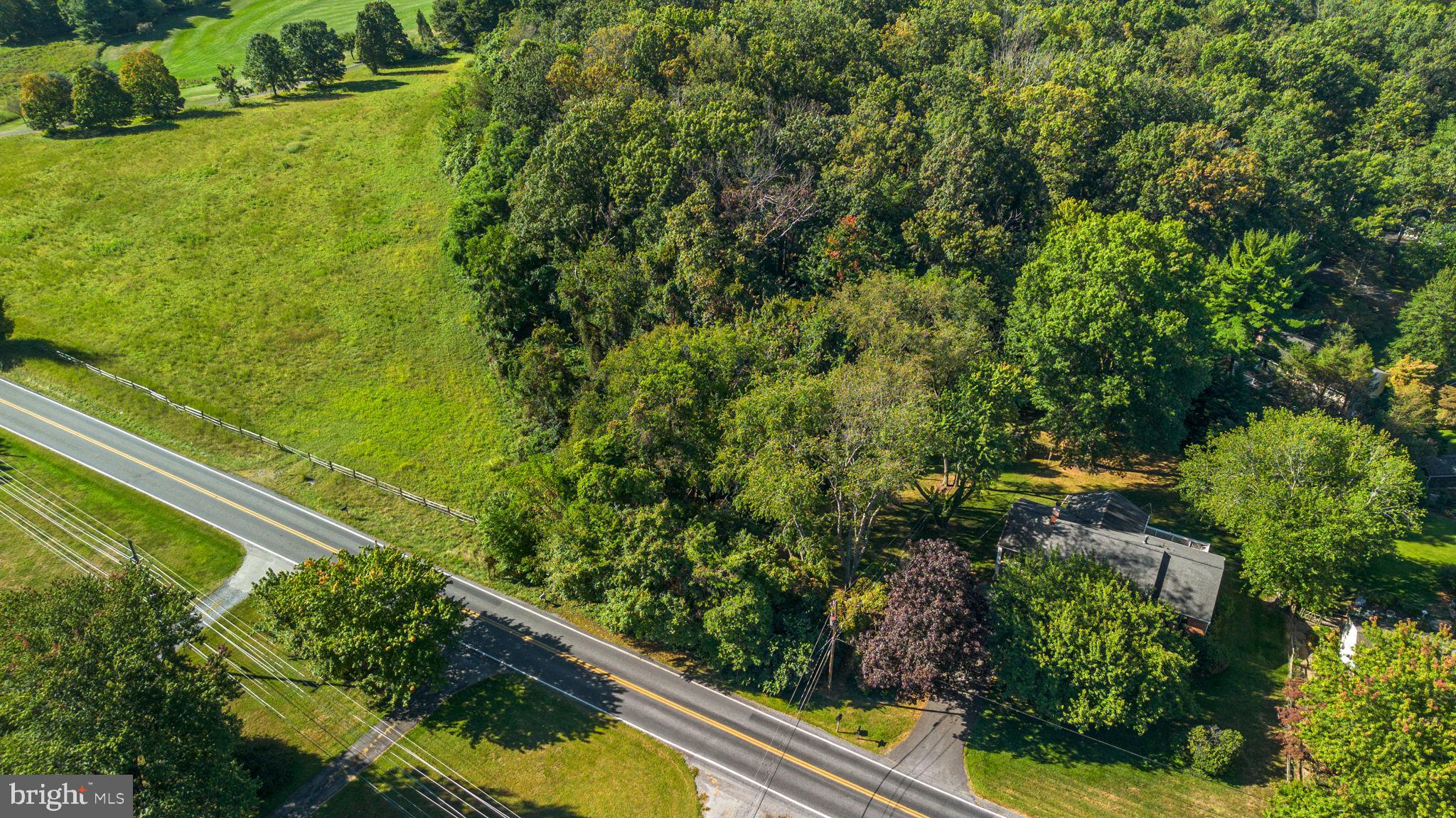 14208 Lewisdale Road Clarksburg, MD 20871 - Photo 6 of 15 a view of a yard with plants