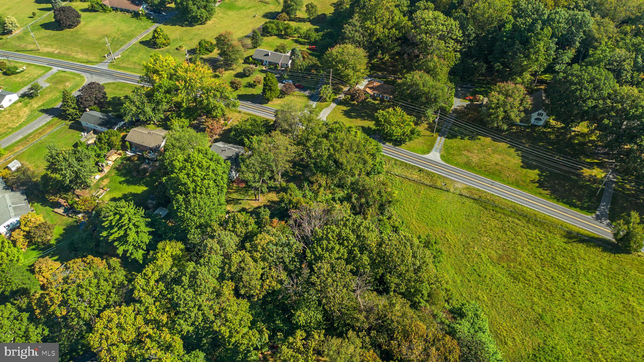 14208 Lewisdale Road Clarksburg, MD 20871 - Photo 9 of 15 a view of a yard