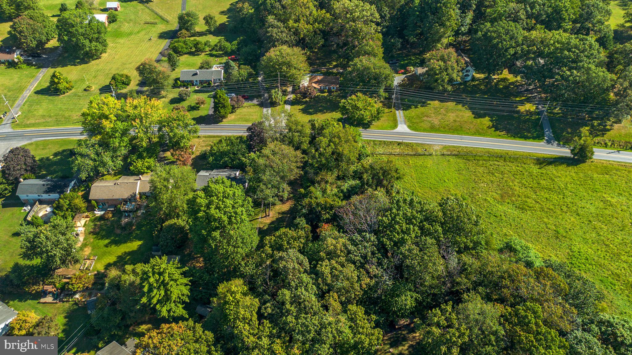 14208 Lewisdale Road Clarksburg, MD 20871 - Photo 10 of 15 a view of a garden with plants