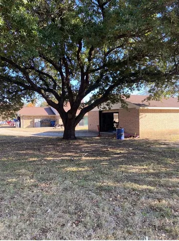 a big tree in middle of the yard