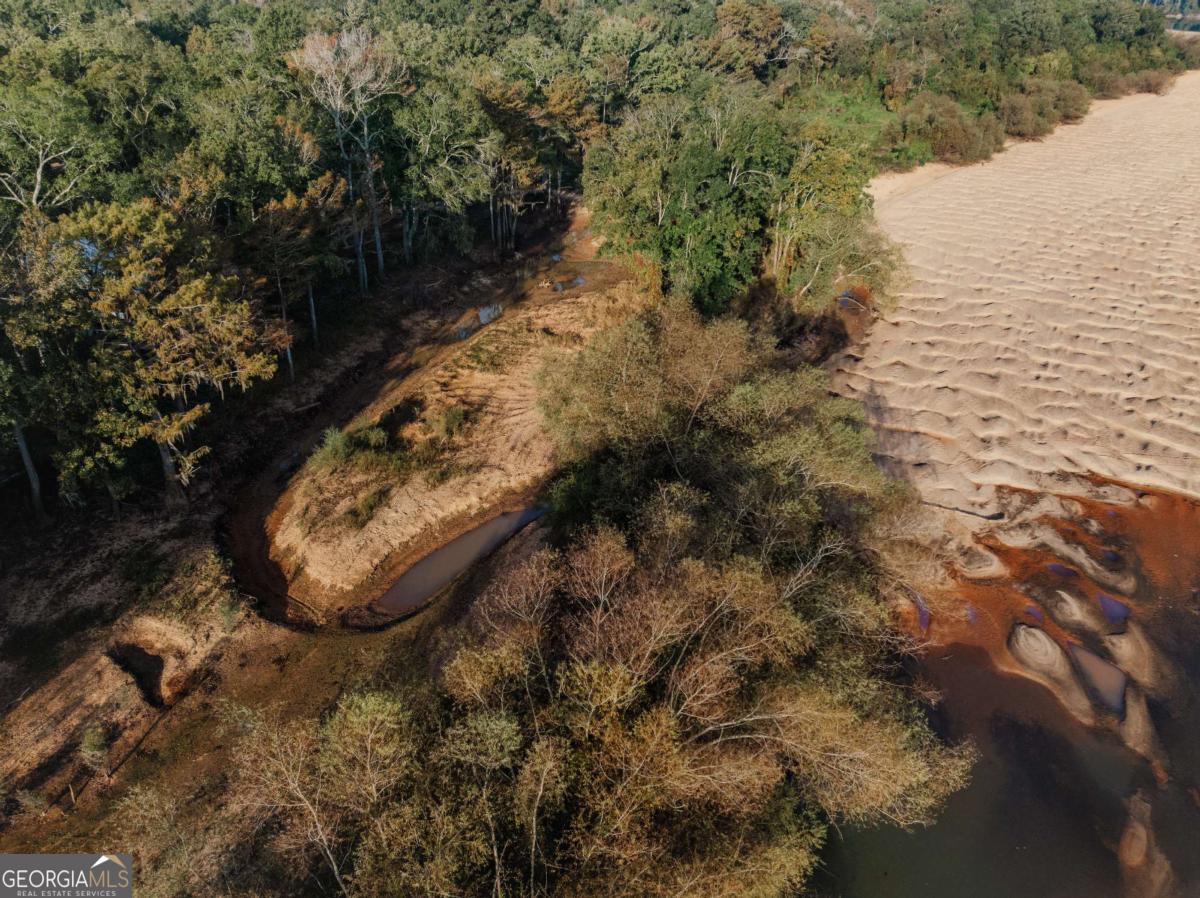 0 Eagles Point, Unit LOT 12 Surrency, GA 31563 - Photo 13 of 15 a view of lake from next to house