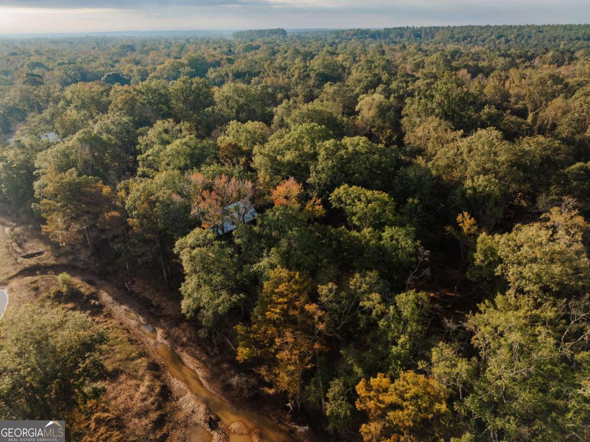 0 Eagles Point, Unit LOT 12 Surrency, GA 31563 - Photo 15 of 15 an aerial view of house with yard