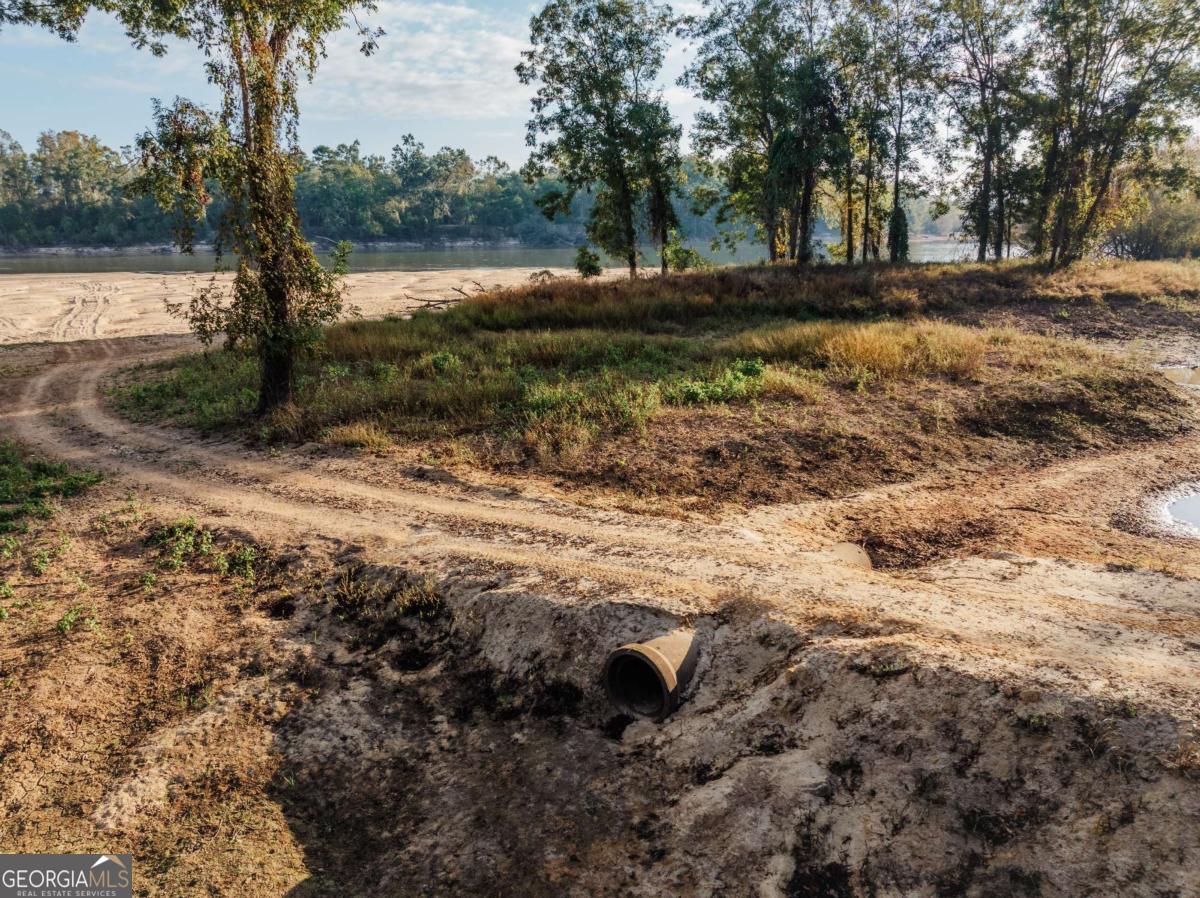 0 Eagles Point, Unit LOT 12 Surrency, GA 31563 - Photo 5 of 15 a view of a tree with a yard