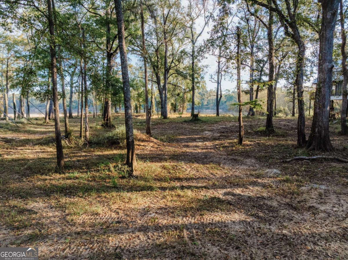 0 Eagles Point, Unit LOT 12 Surrency, GA 31563 - Photo 7 of 15 a backyard of a house with lots of green space