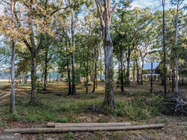 a view of outdoor space with lots of trees
