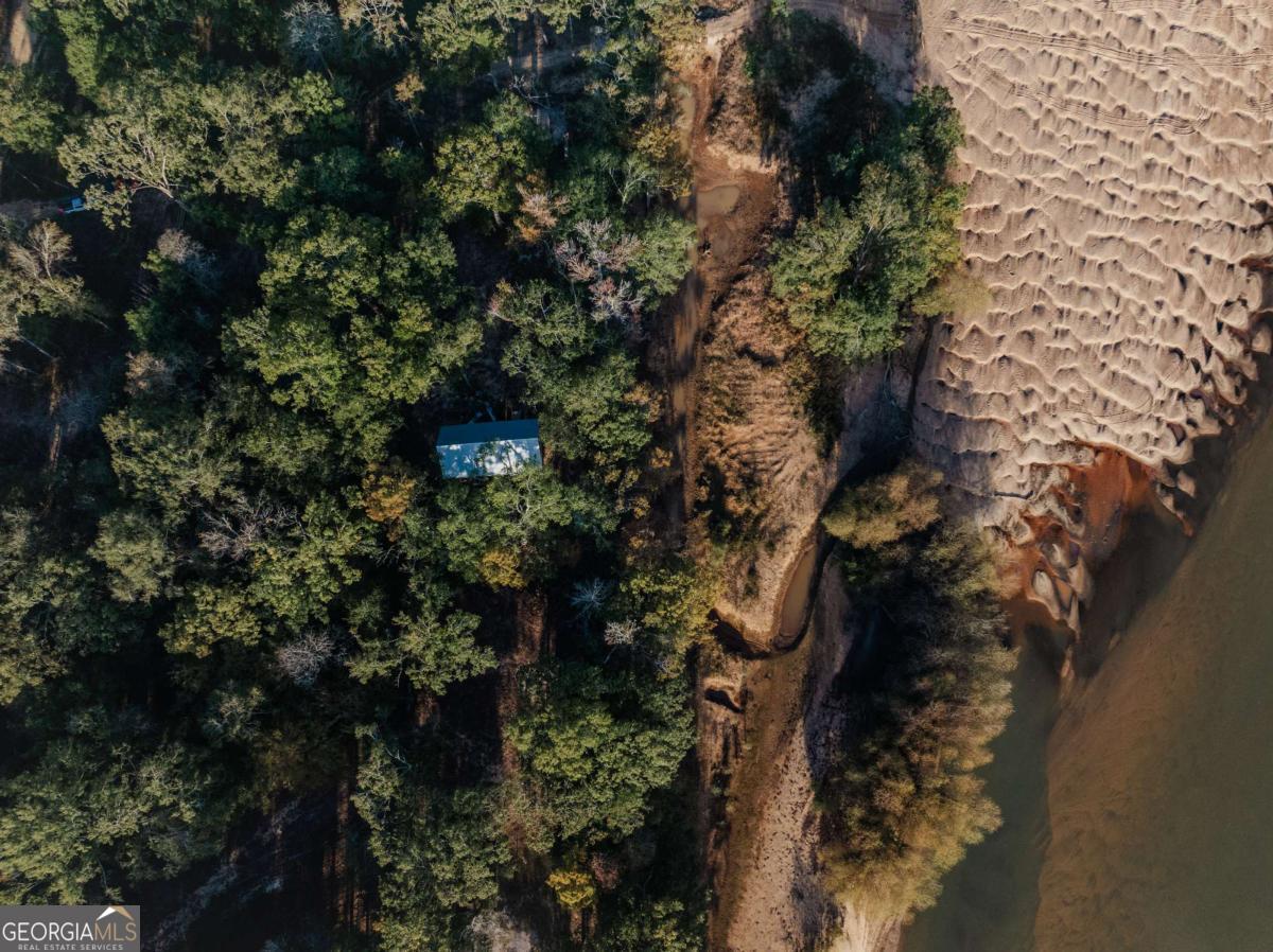 0 Eagles Point, Unit LOT 12 Surrency, GA 31563 - Photo 10 of 15 a picture of tree