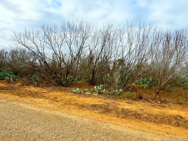 $10,900 | Tbd Old Hwy 81, Moore, TX 78057