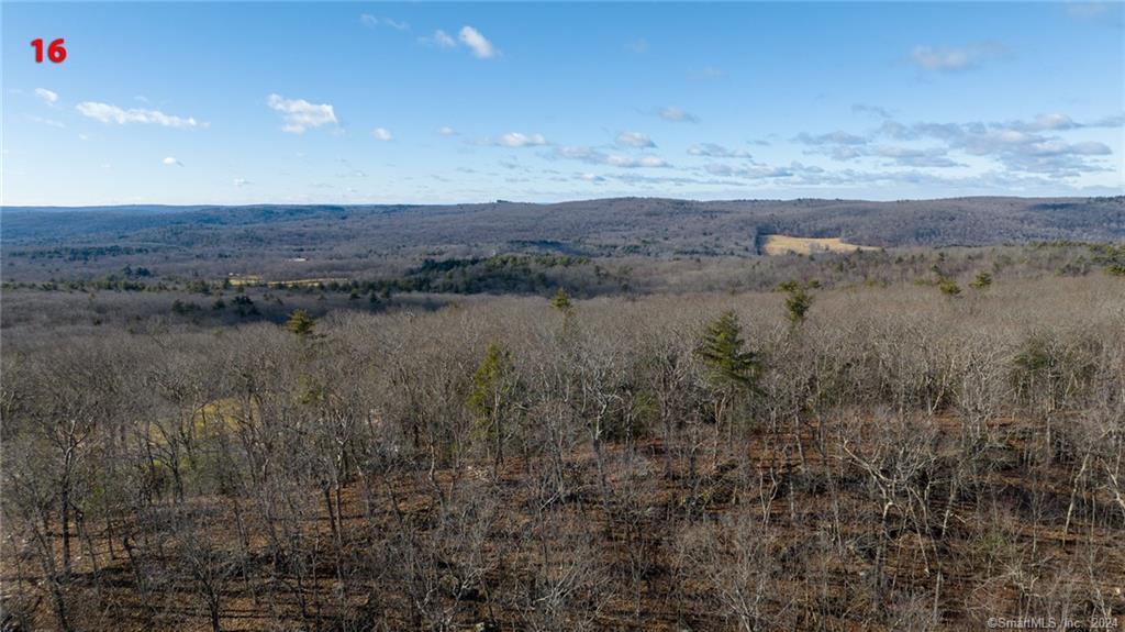 81 Case Street Canton, CT 06019 - Photo 1 of 1 Gallery Image 1
