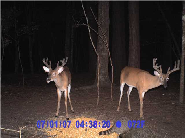 1 Baptist Hill Road Hollywood, SC 29449 - Photo 9 of 14 Additional Photo