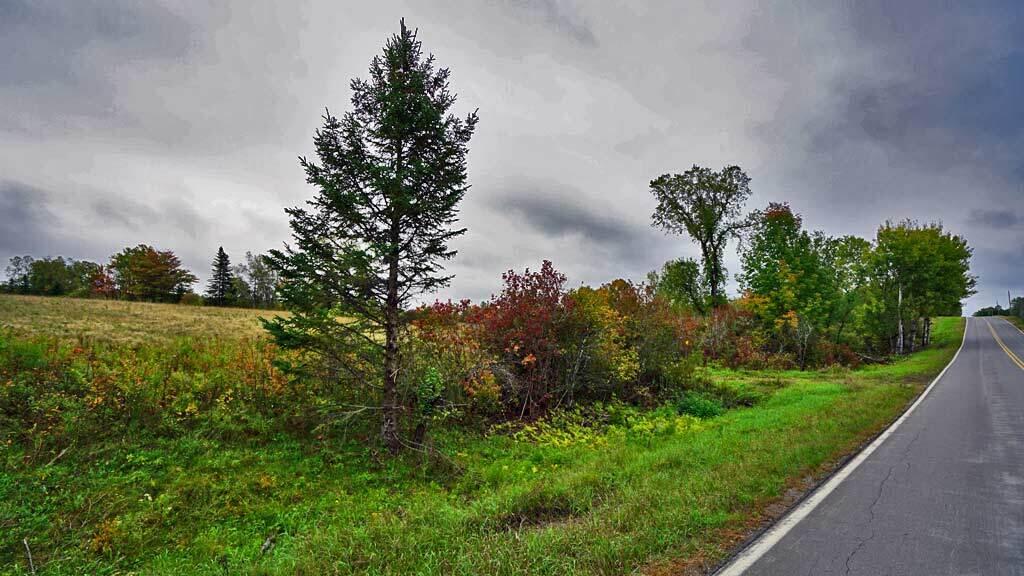Lot 8 Kelly Road Wytopitlock, ME 04497 - Photo 3 of 23 bancroft-me-land-1