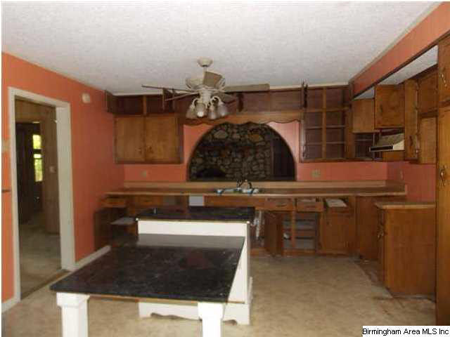 36 Cove Access Road Talladega, AL 35160 - Photo 2 of 5