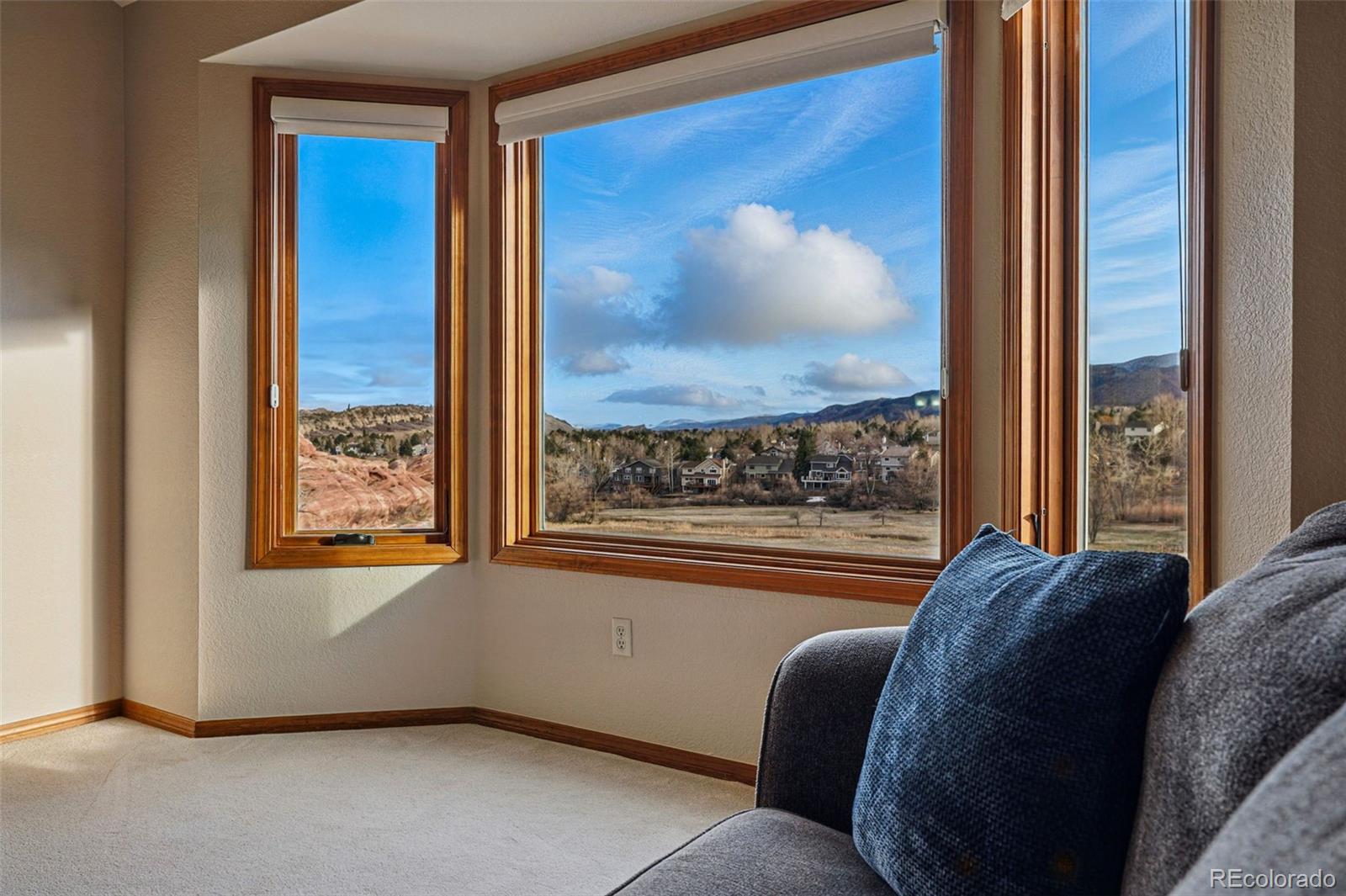 112 Willowleaf Drive Littleton, CO 80127 - Photo 19 of 50